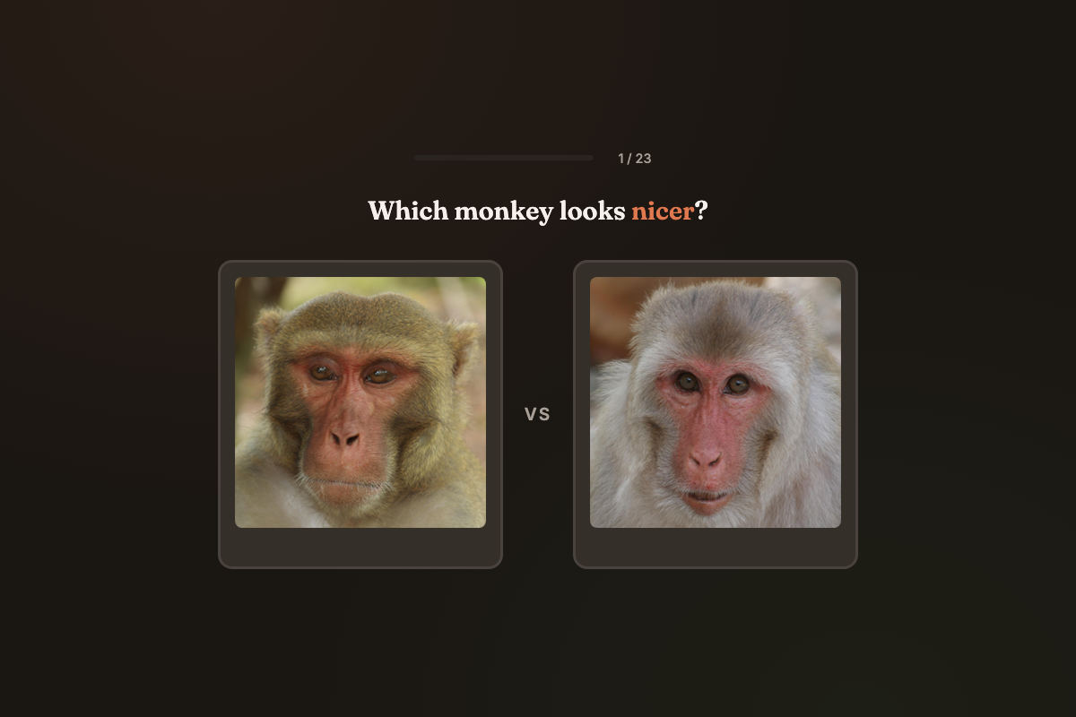 Screenshot of Which Monkey is Nicer?